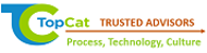 TopCat Consulting