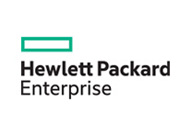 Hewlett Packard Enterprise (HPE)