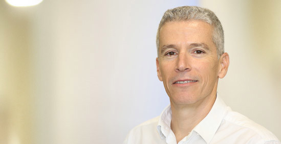 Yehuda Herscovici image