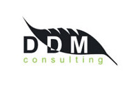 DDM Consulting